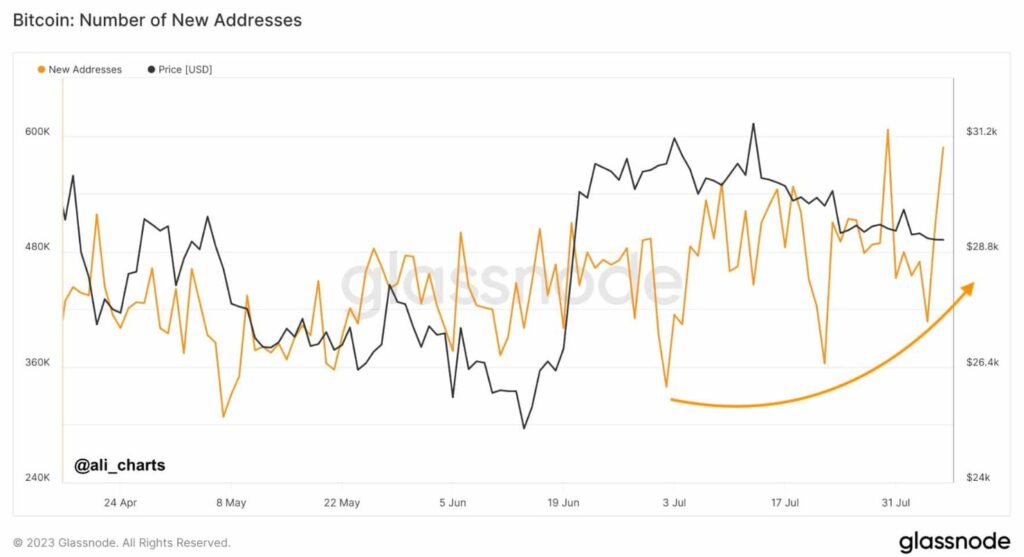 Yeni Bitcoin Adreslerinin Artışı, Boğayı Başlatabilir mi?