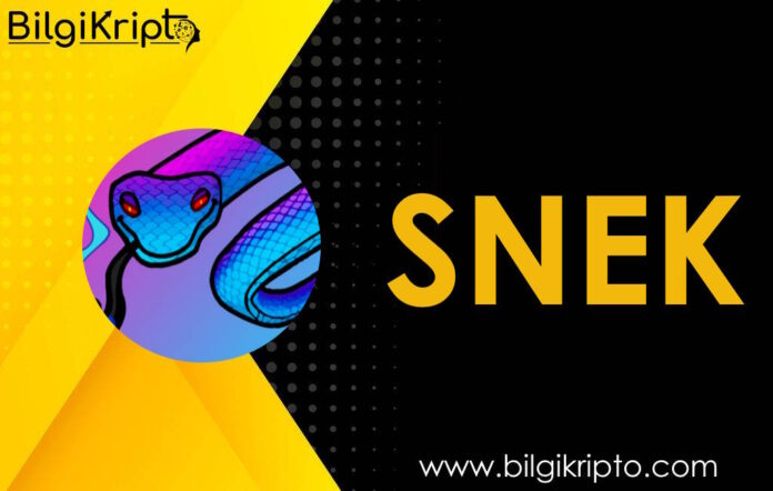 snek coin token yorum geleceği analiz yorumları fiyat tahmini tahminleri bugün ne olur