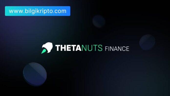 Thetanuts Finance (NUTS) coin nedir, nereden alınır, inceleme coin detayları